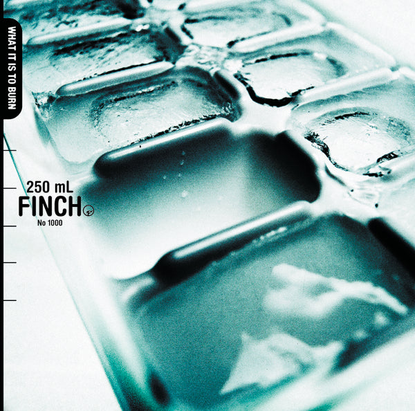 Finch - 